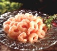 Shellfish / Starters