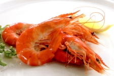 Crevettes