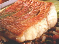Red Snapper