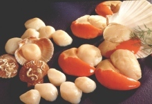 Premium Scallops